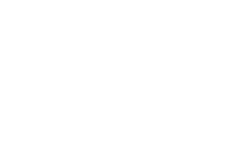 Логотип «Точка опори»